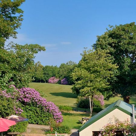 Priskilly Forest Country House Fishguard Ngoại thất bức ảnh