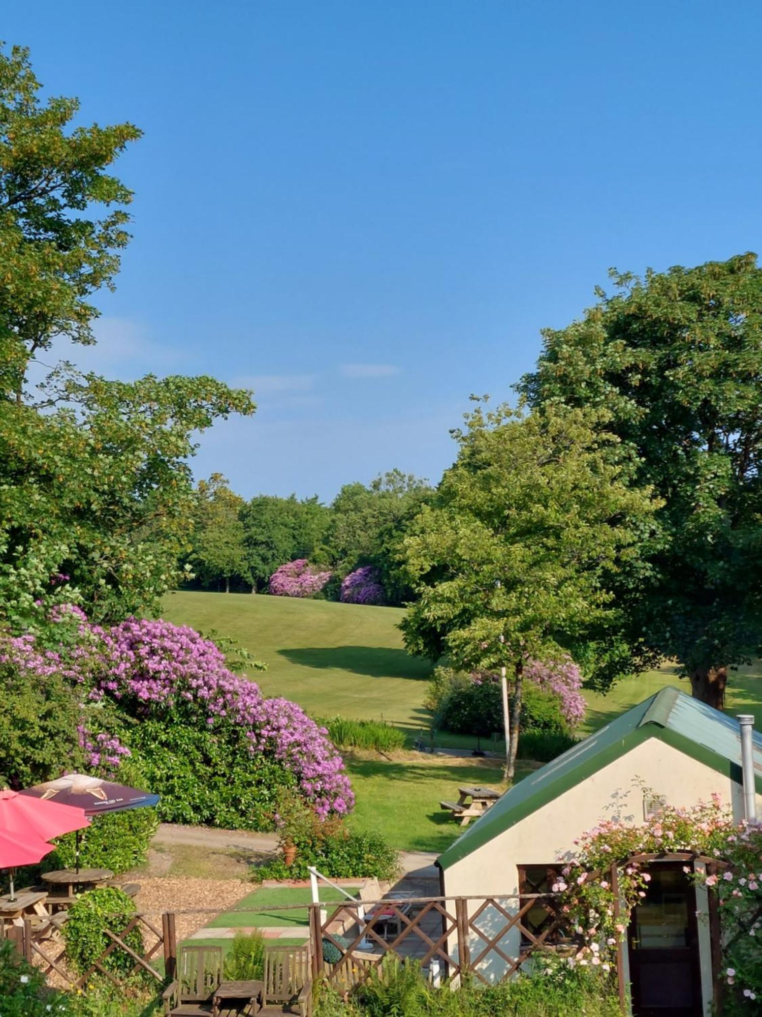 Priskilly Forest Country House Fishguard Ngoại thất bức ảnh